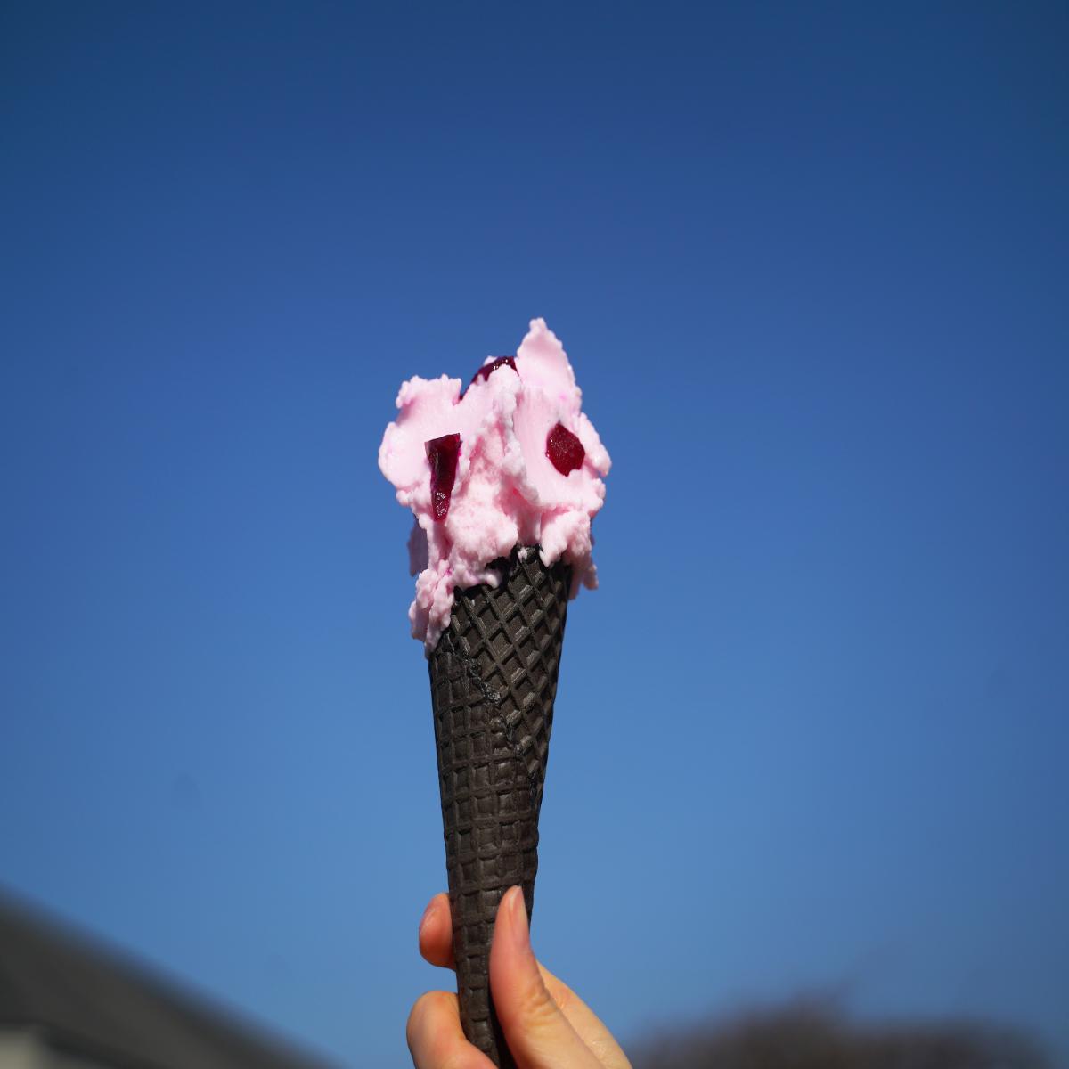 제주 월령마을 백년초로 만드는 아이스크림 스무디 체험