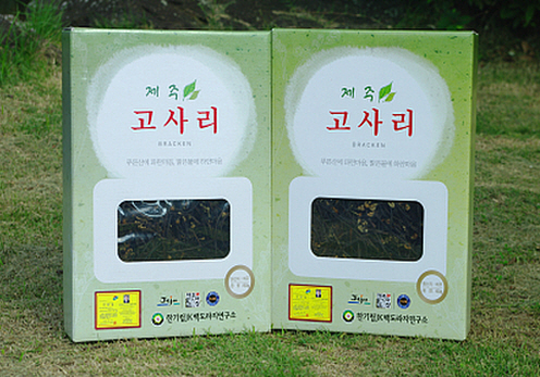 [농업기술명인] 제주 고사리 건채 상세