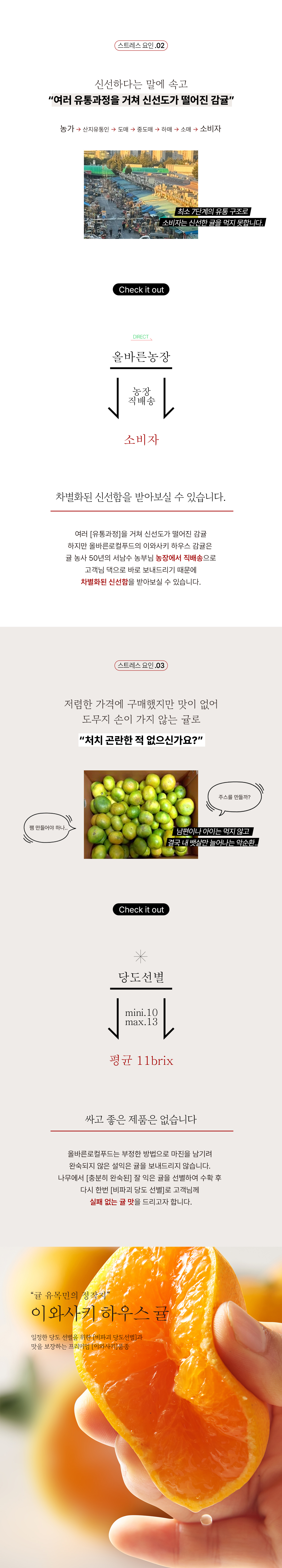 가장 맛있는 귤 품종! 이와사키 하우스귤! 상세