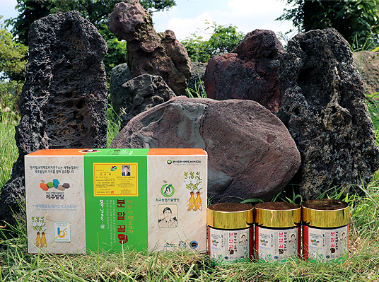제주 약백도라지분말 꿀차 140g x 3개입 세트★ 상세