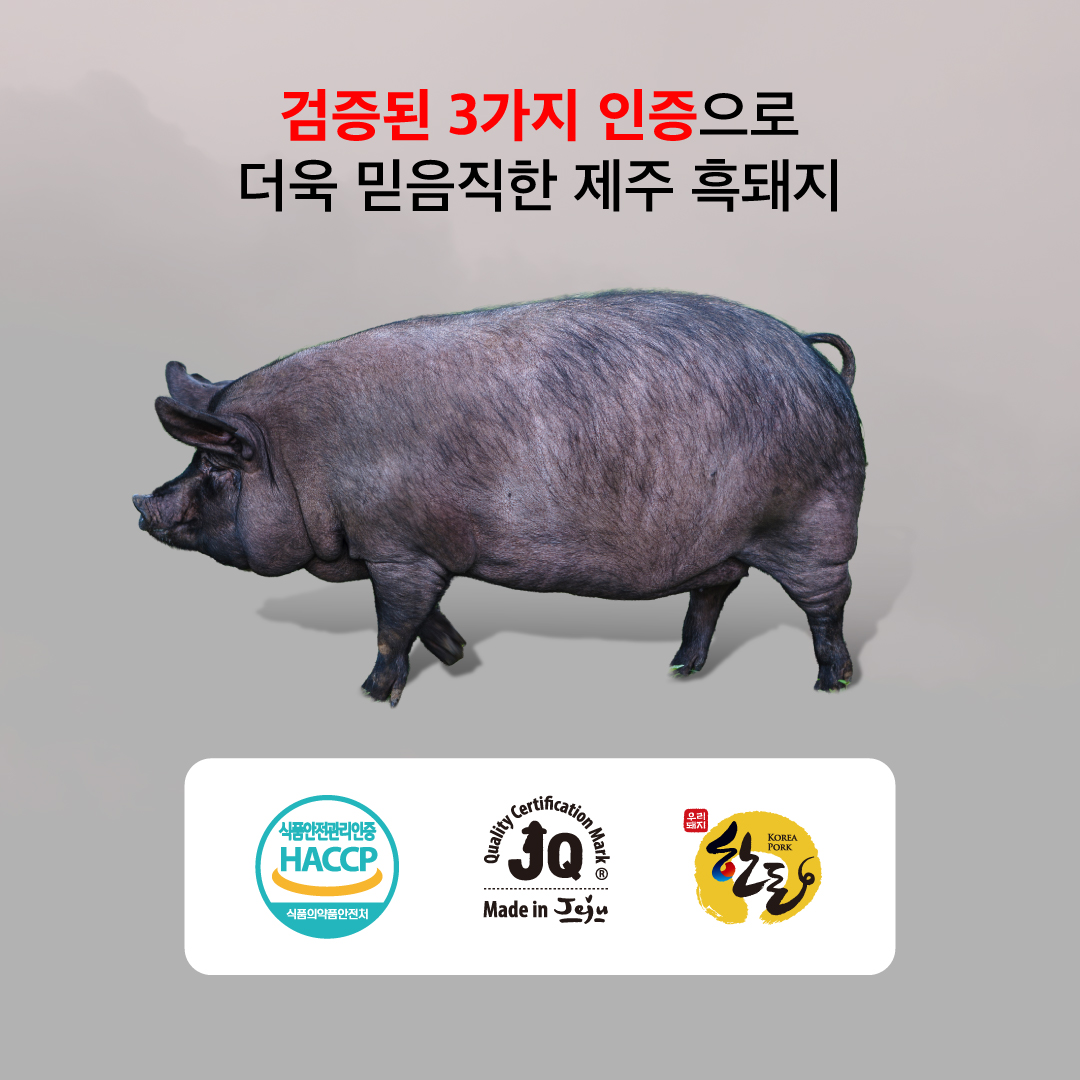 [산지직송특가] 이어도포크 초신선 제주흑돼지★ 상세