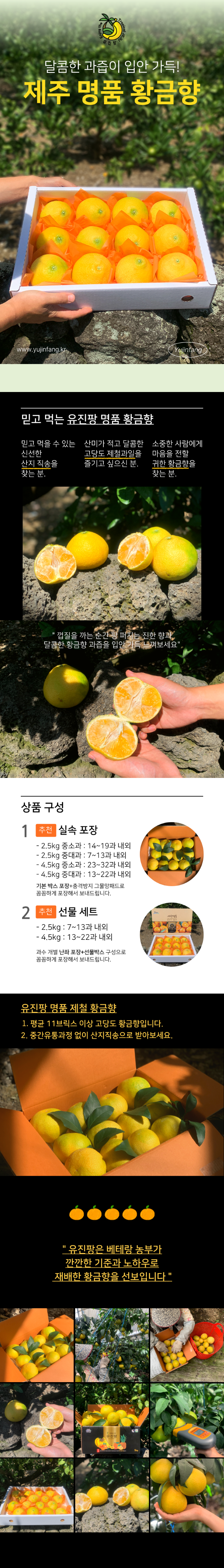[추석선물]제주 황금향 선물포장 산지직송 유진팡 상세