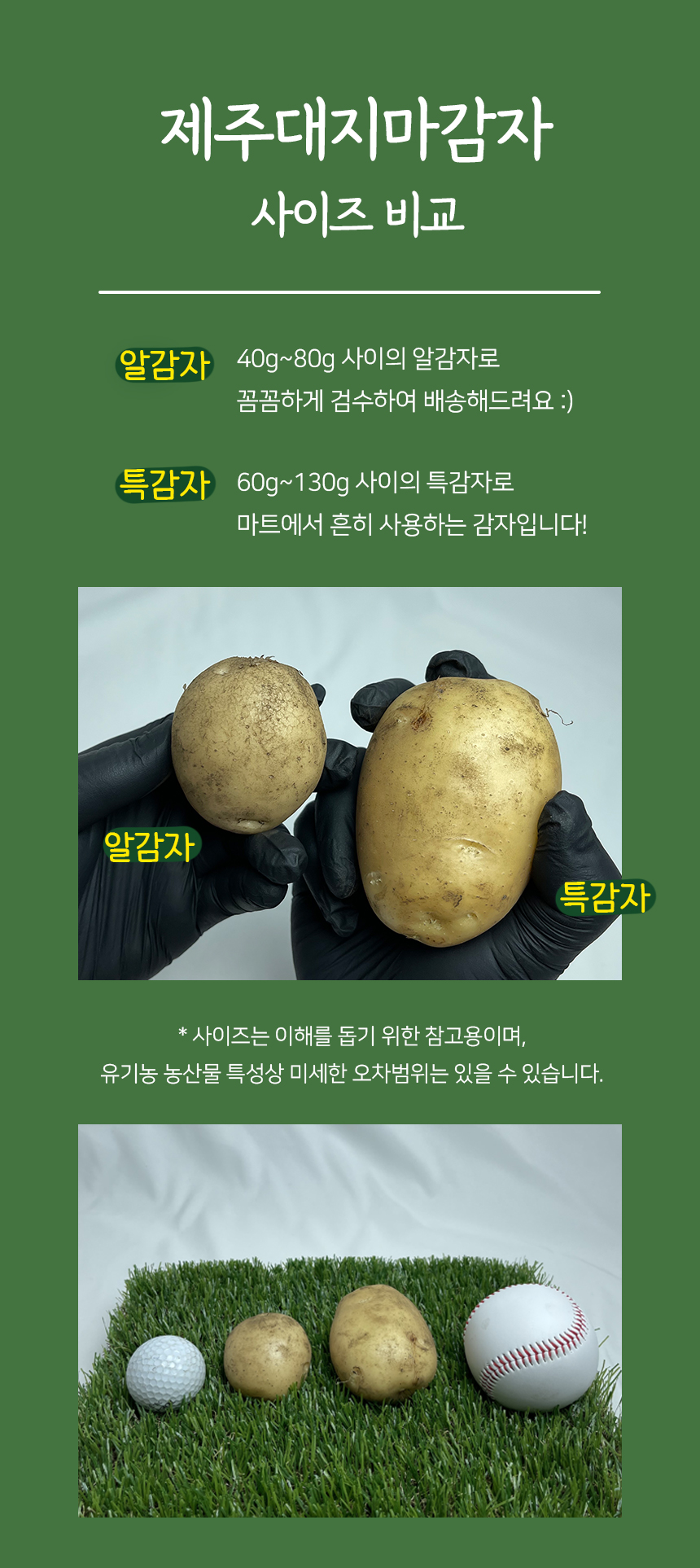 제주 오가닉스 산지직송 유기농 감자 대지마 알감자