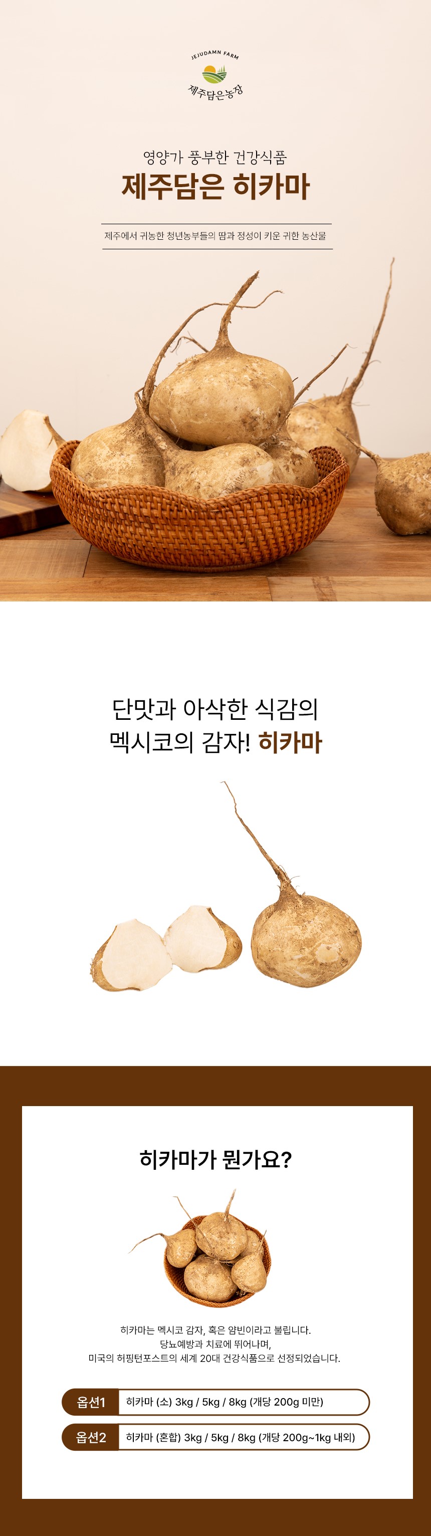 제주담은 히카마(멕시코 감자)