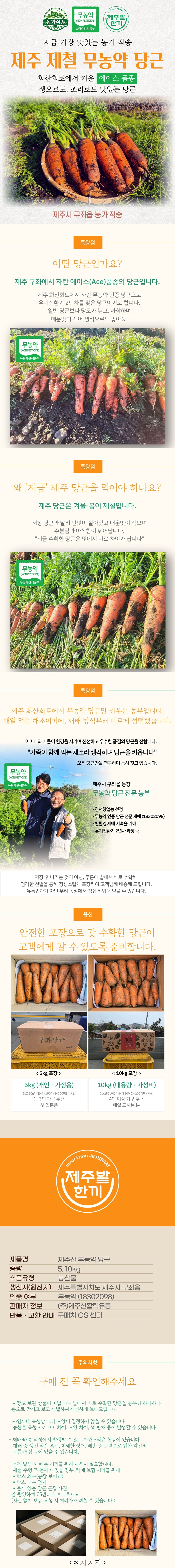 제주 제철 무농약 당근 농가직송 5kg·10kg 상세