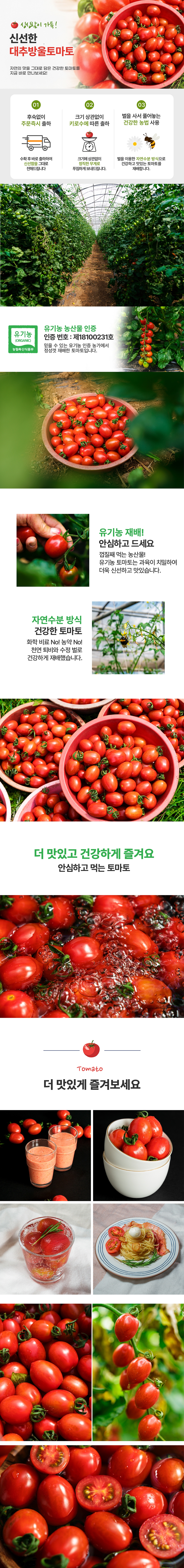 제주 유기농 방울토마토★ 상세