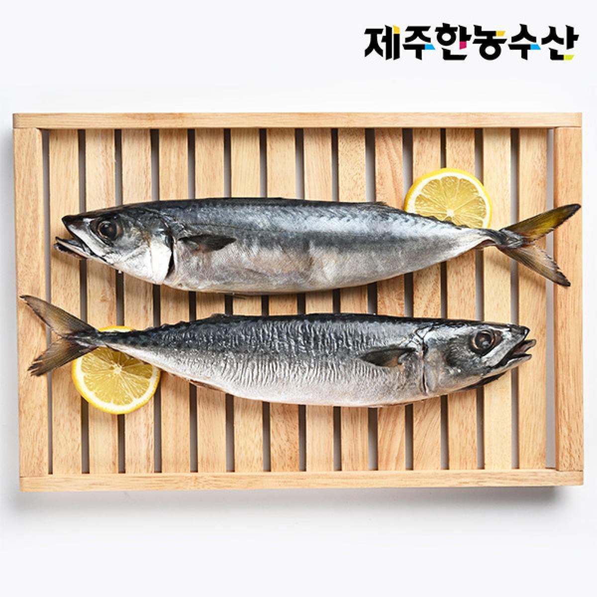 한농수산 수산물 실속세트 1BOX