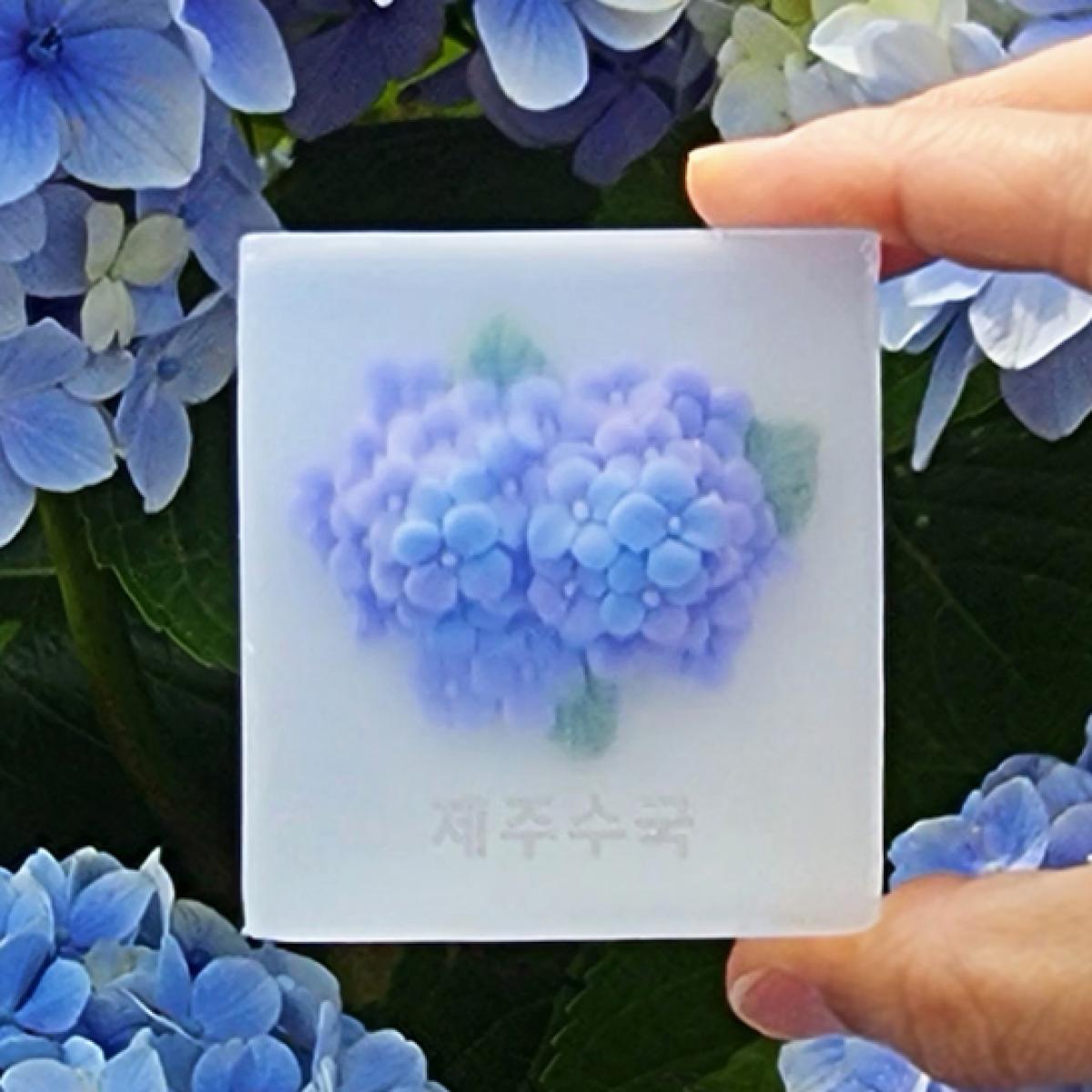 제주 수국 비누