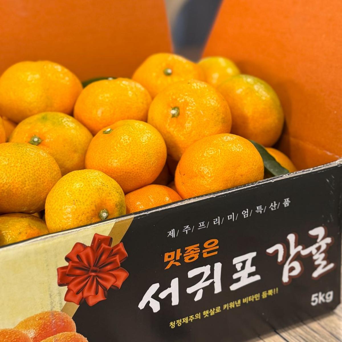 새콤달콤~ 제주노지 조생 감귤 혼합과 서귀포 유진팡