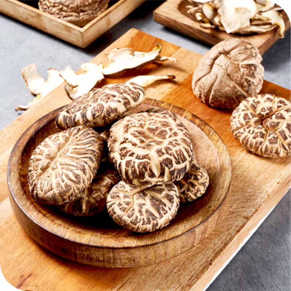 제주 참나무 표고버섯 선물세트 3종
