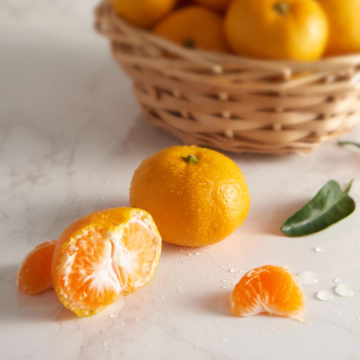 아삭한 식감 올바른 이와사키 노지귤 3kg/5kg