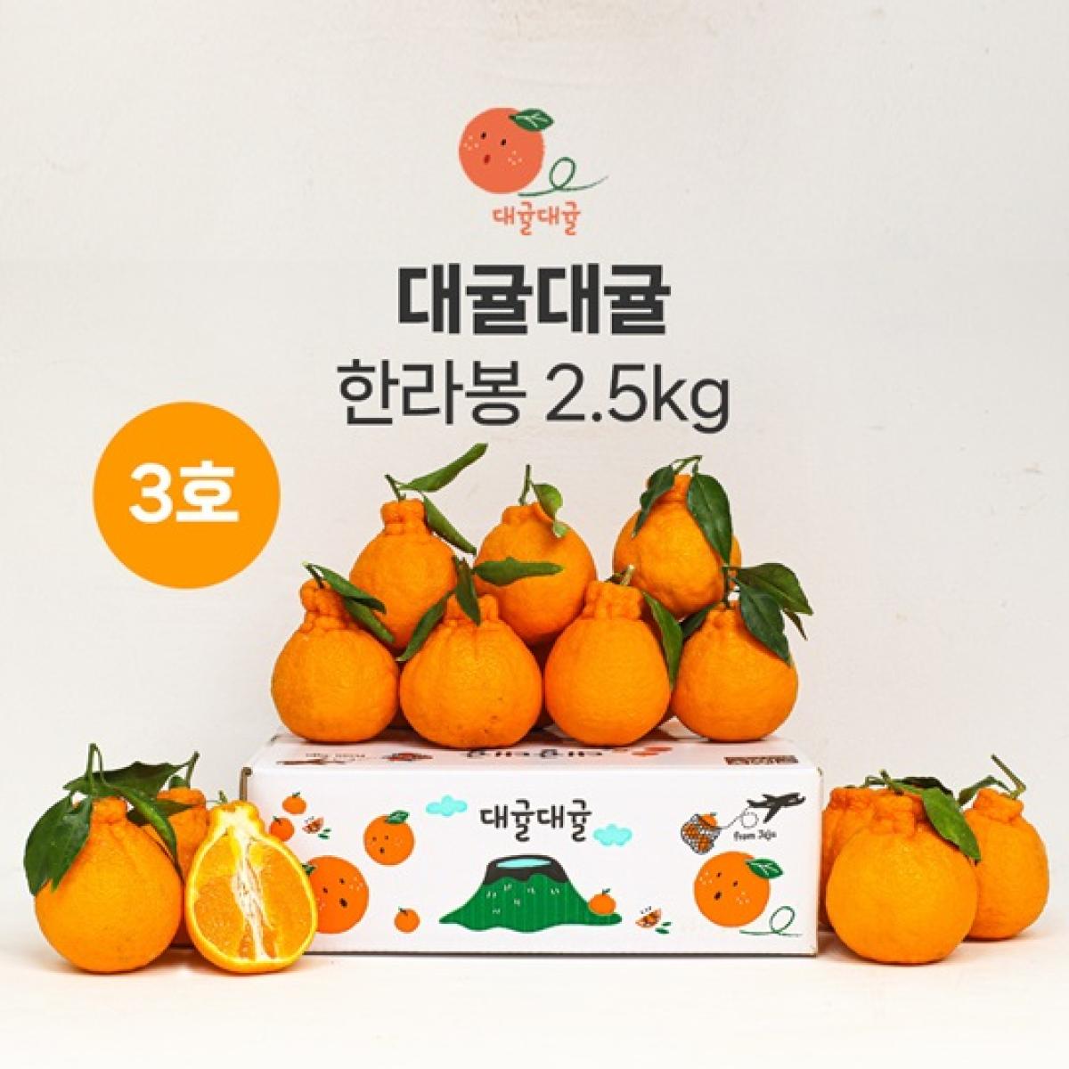 [대귤대귤] 프리미엄 한라봉 선물세트