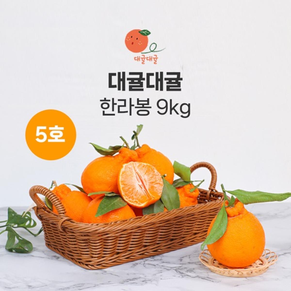 [대귤대귤] 프리미엄 한라봉 선물세트