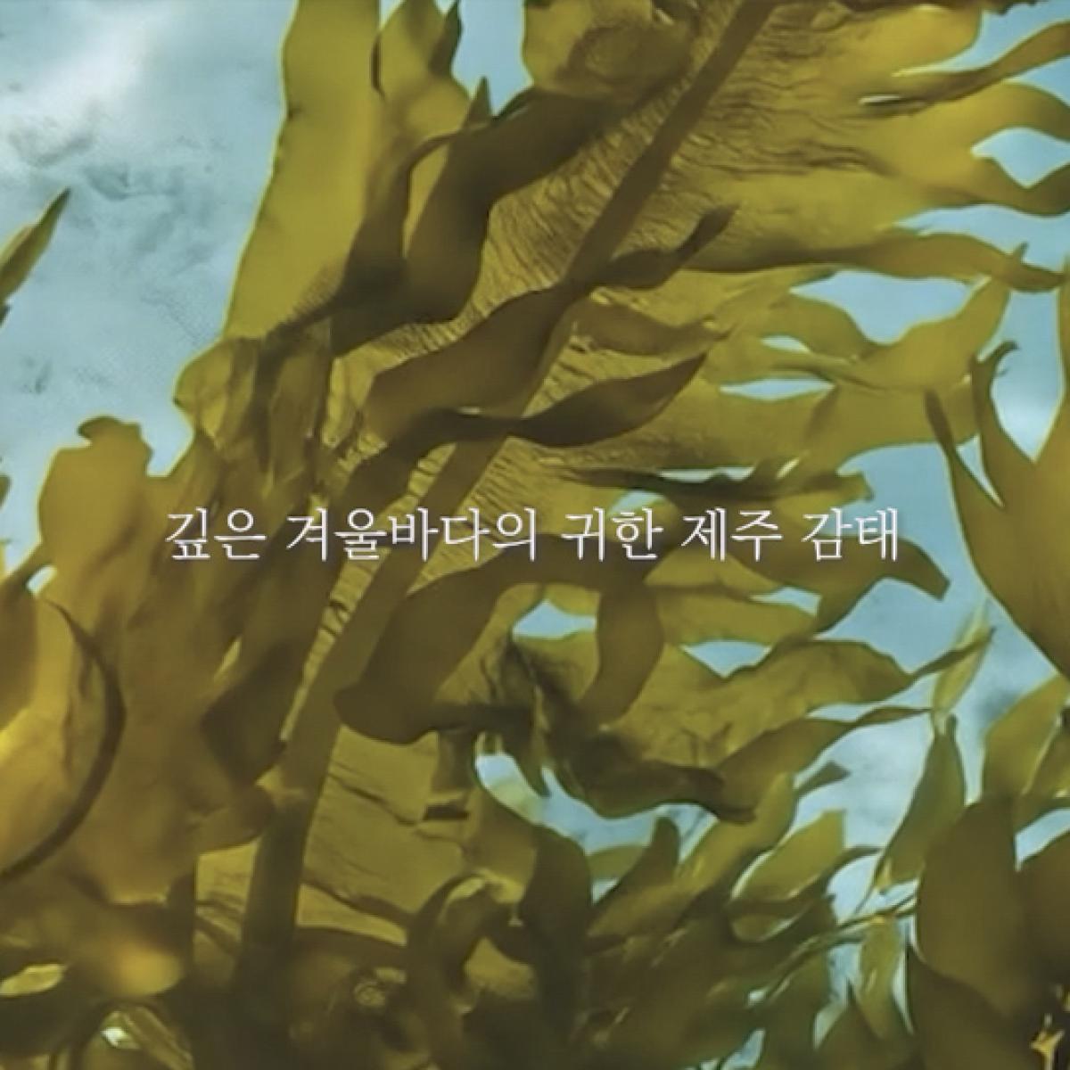 스톤제주 몽돌비누 3종세트