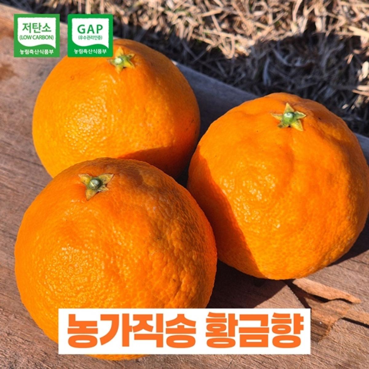 제주산 황금향 4kg GAP 인증 저탄소 가정용 귤