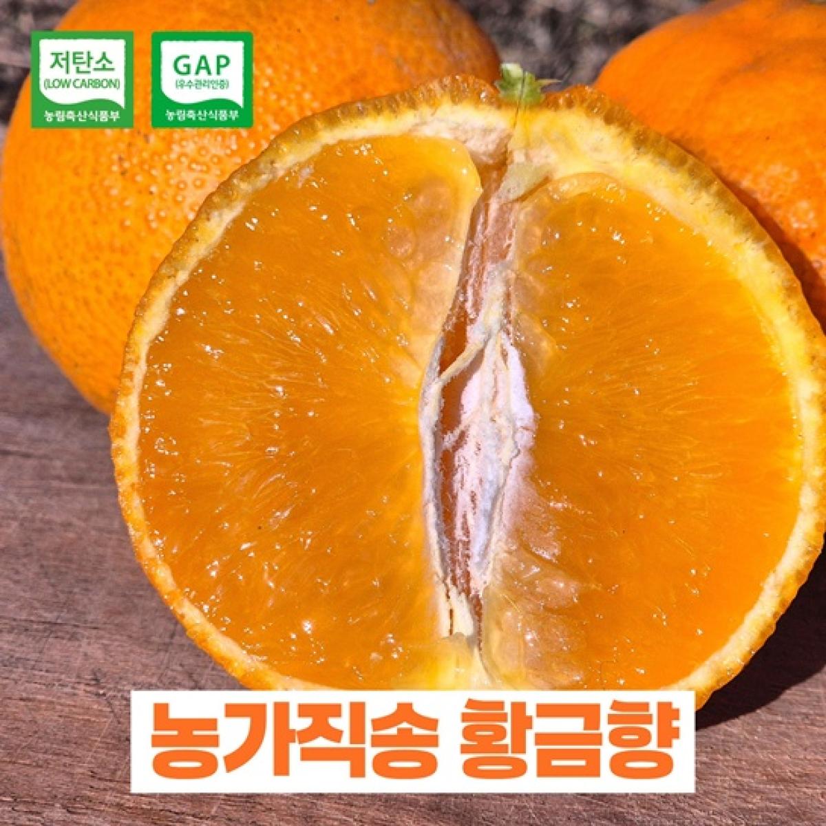 제주산 황금향 4kg GAP 인증 저탄소 가정용 귤