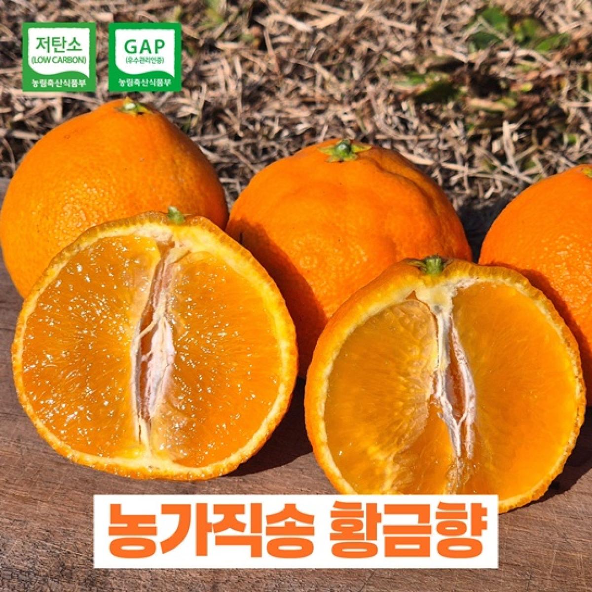 제주산 황금향 4kg GAP 인증 저탄소 가정용 귤