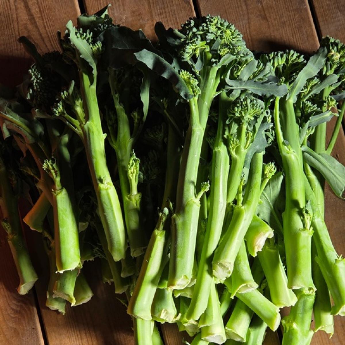 아이들이 잘 먹는 제주산 스틱브로콜리 브로콜리니·베이비