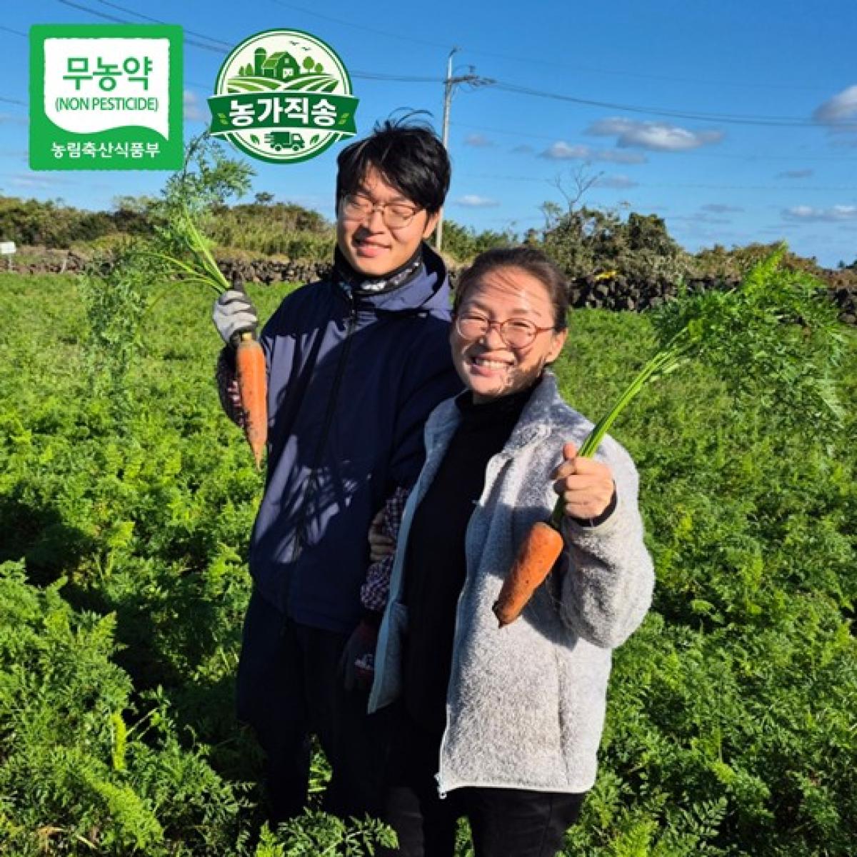 제주 제철 무농약 당근 농가직송 5kg·10kg
