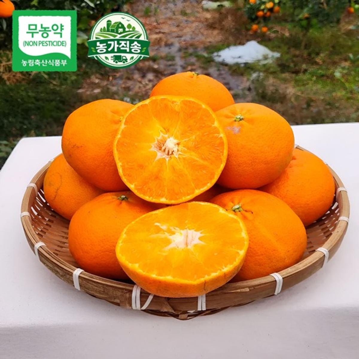 제주 무농약 못난이 레드향 가정용 2.5kg·4.5kg