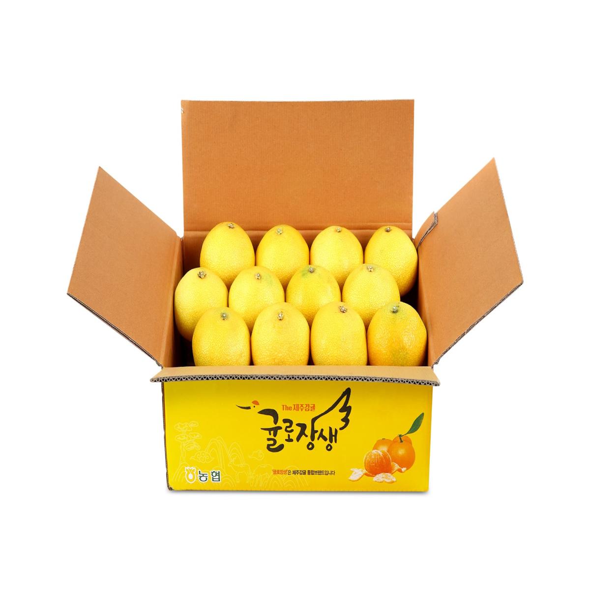 [제주농협] 제주 황금향★