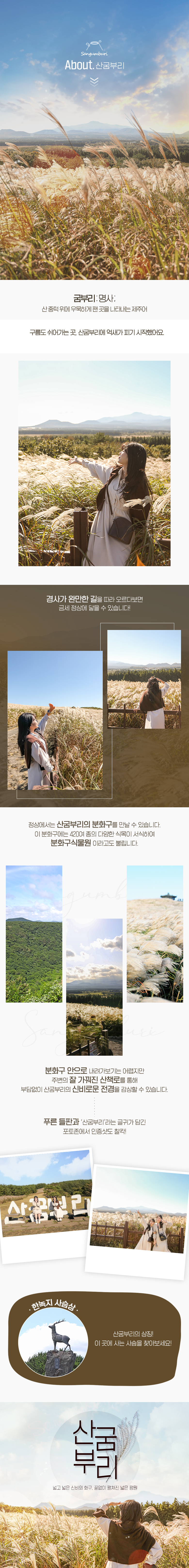 상품설명