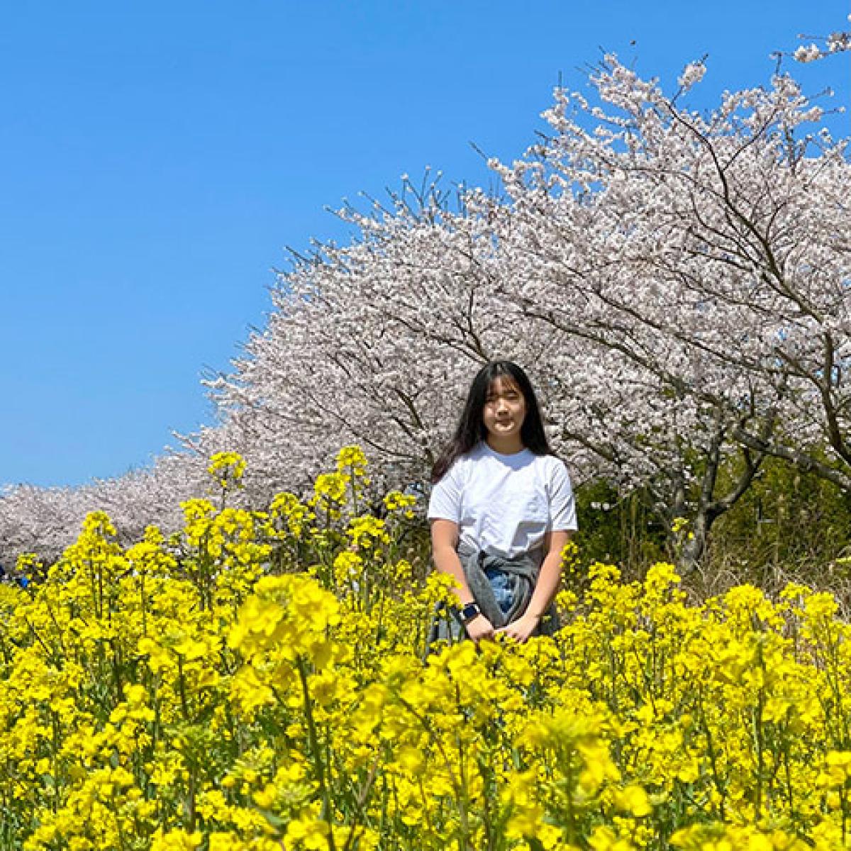 제주도 패키지 3박4일 노쇼핑노옵션 버스투어 오후출발