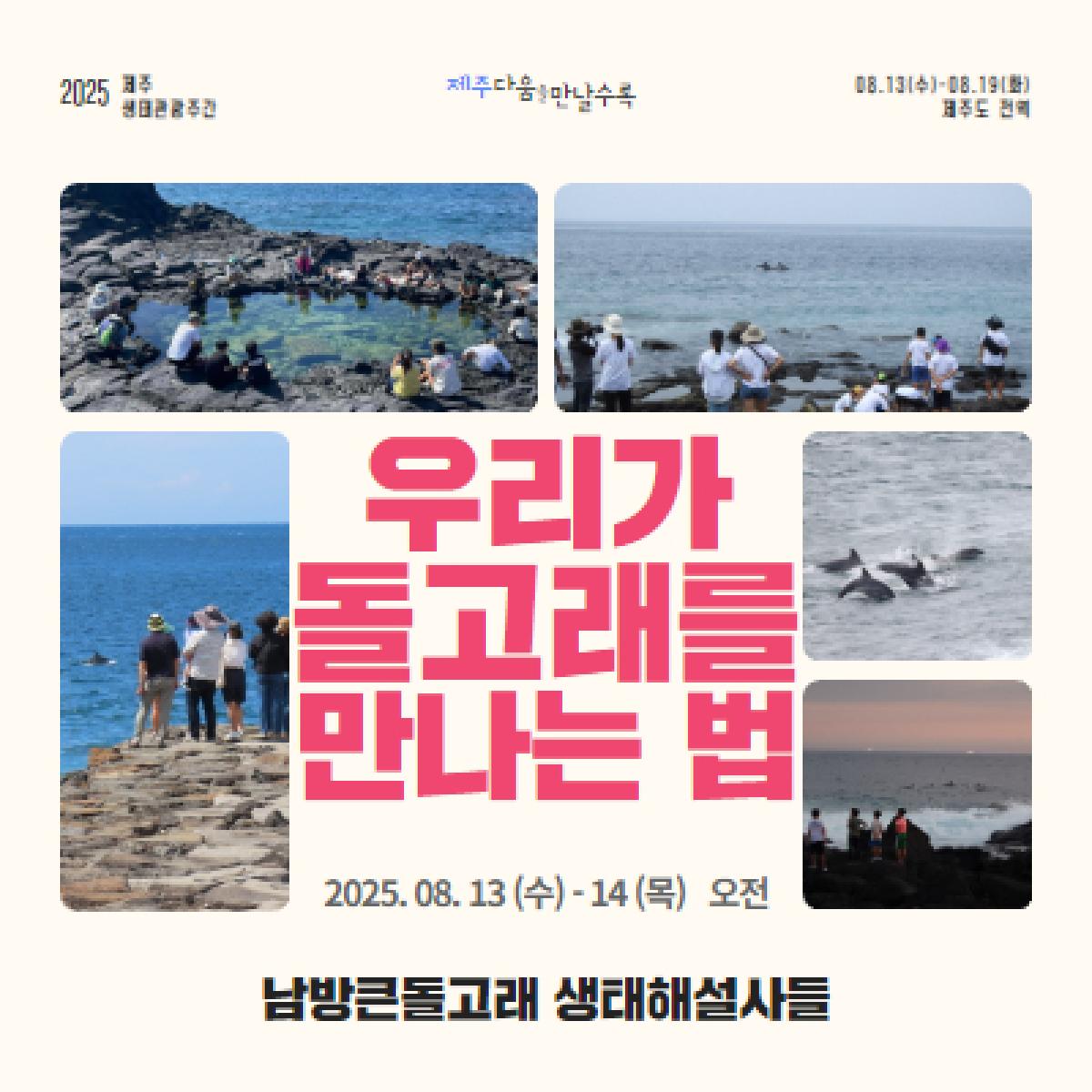 우리가 돌고래를 만나는 법