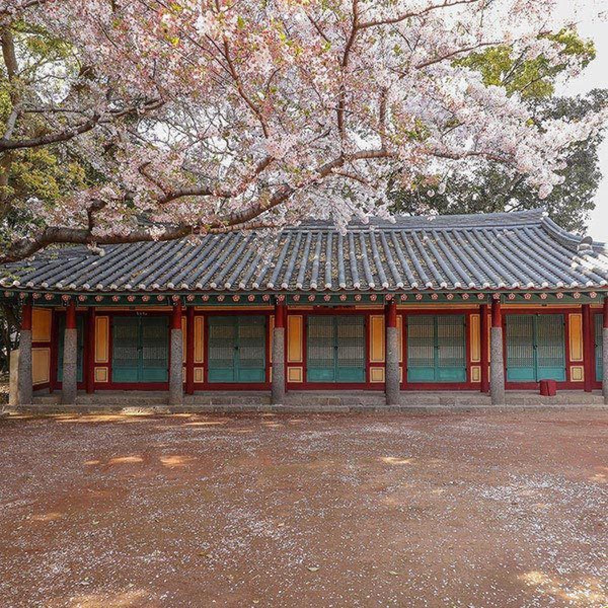 삼성혈 입장권