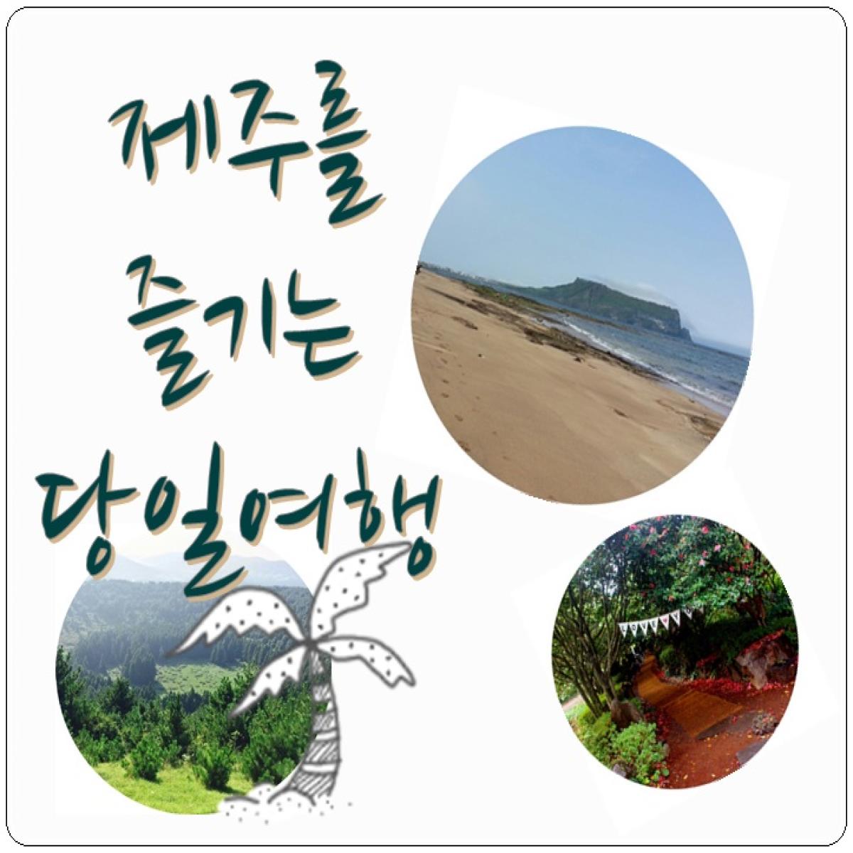 제주 동부 효도관광│마사지·회정식 포함│노쇼핑·노옵션
