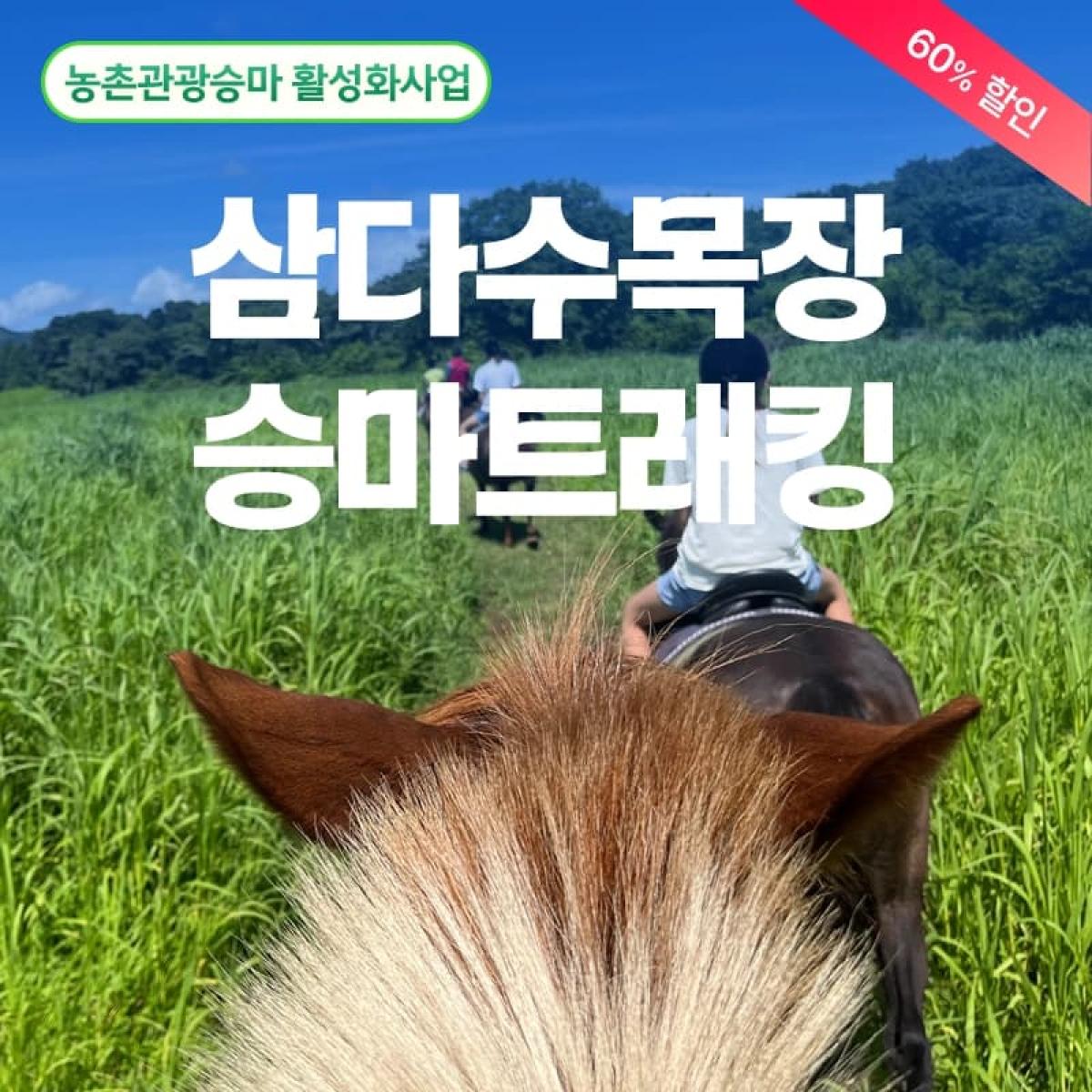 [농촌관광승마] 삼다수승마