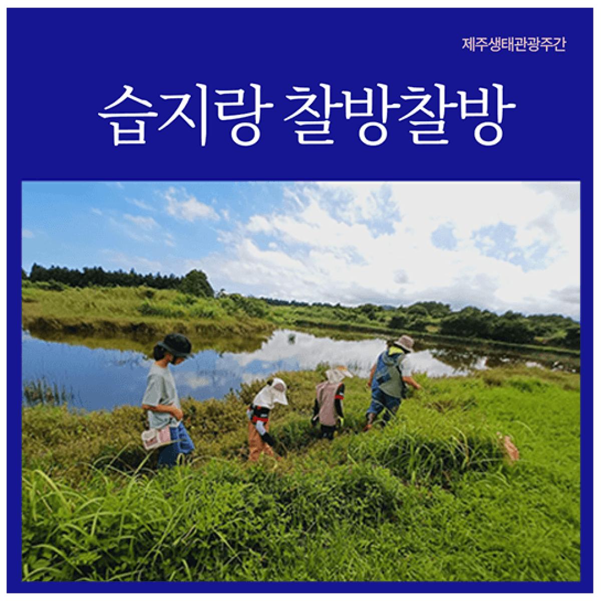 [제주생태관광협회] 습지랑 찰방찰방