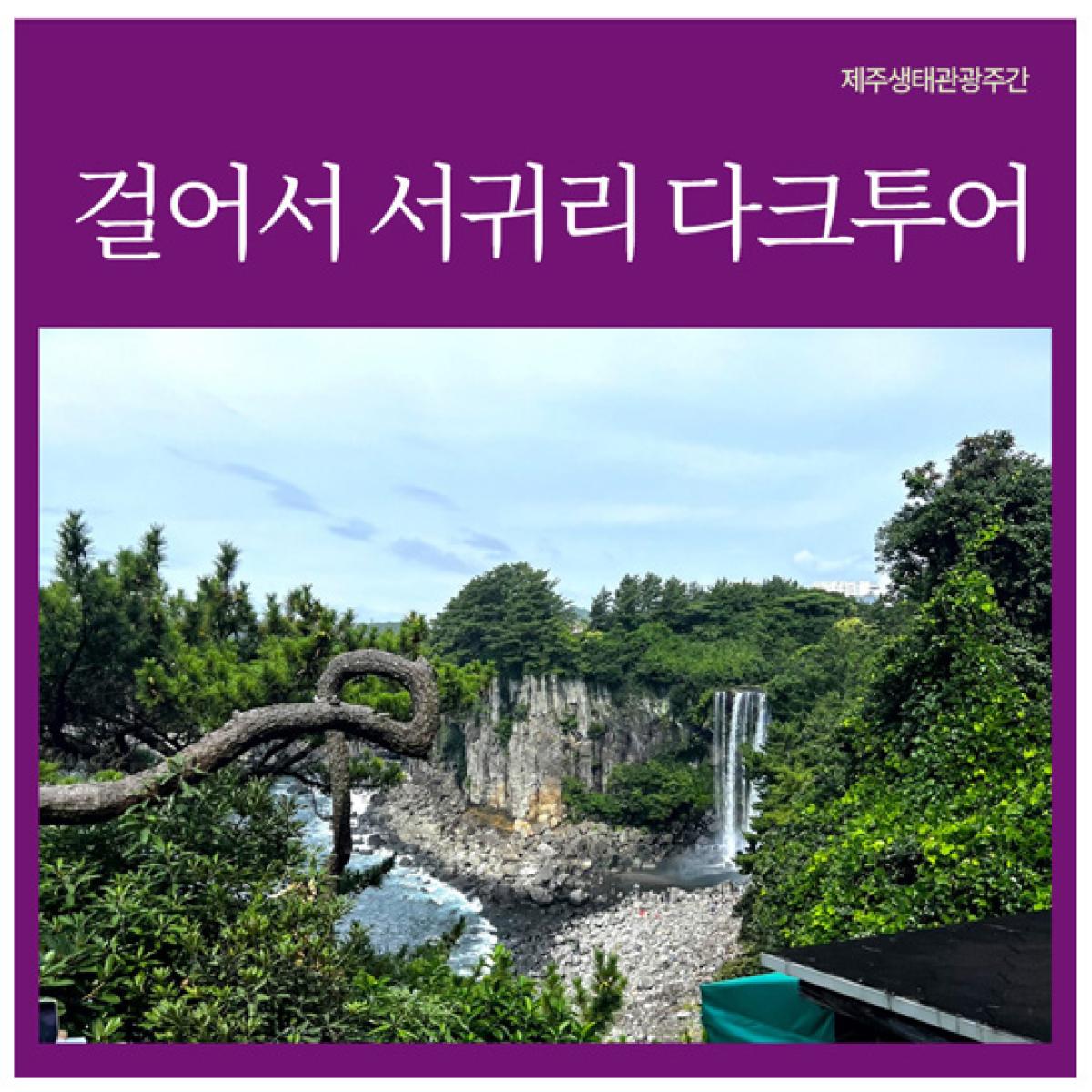 [제주생태관광협회] 걸어서 서귀리 다크투어