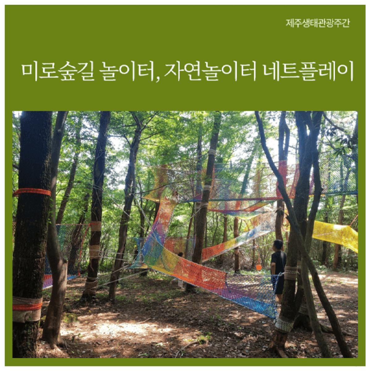 [제주생태관광협회] 미로숲길 놀이터, 자연놀이터 네트플