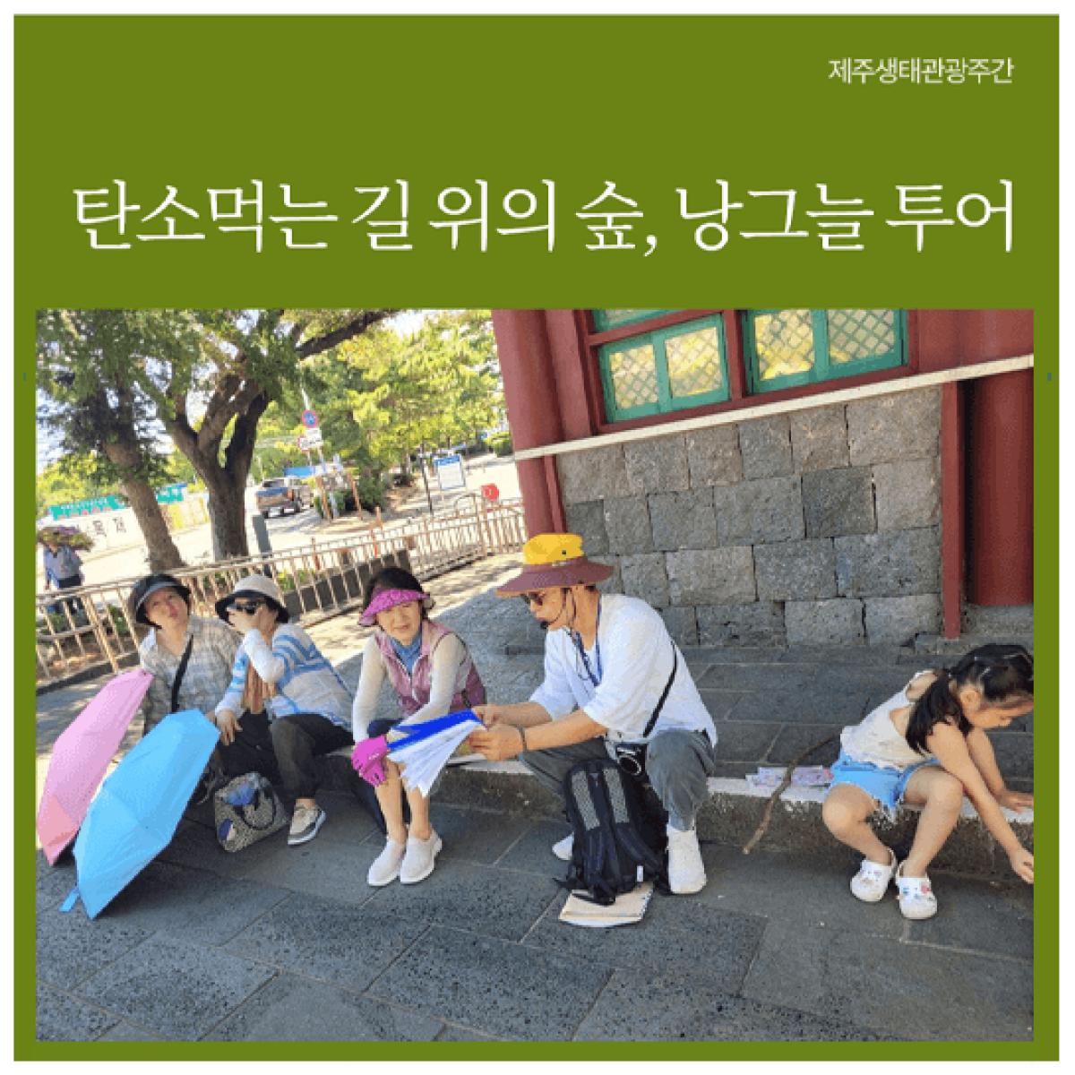[제주생태관광협회] 탄소먹는 가로숲, 낭그늘 투어