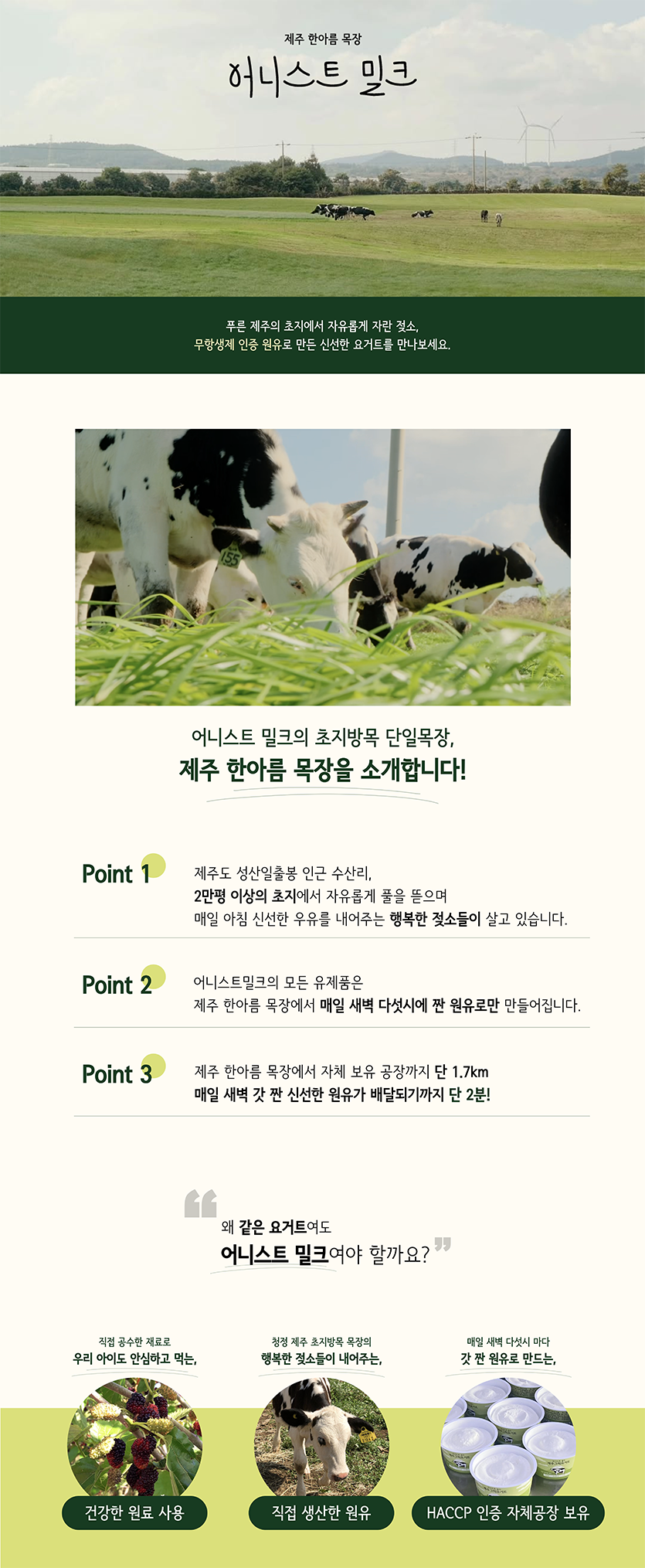어니스트밀크 요거트 상세