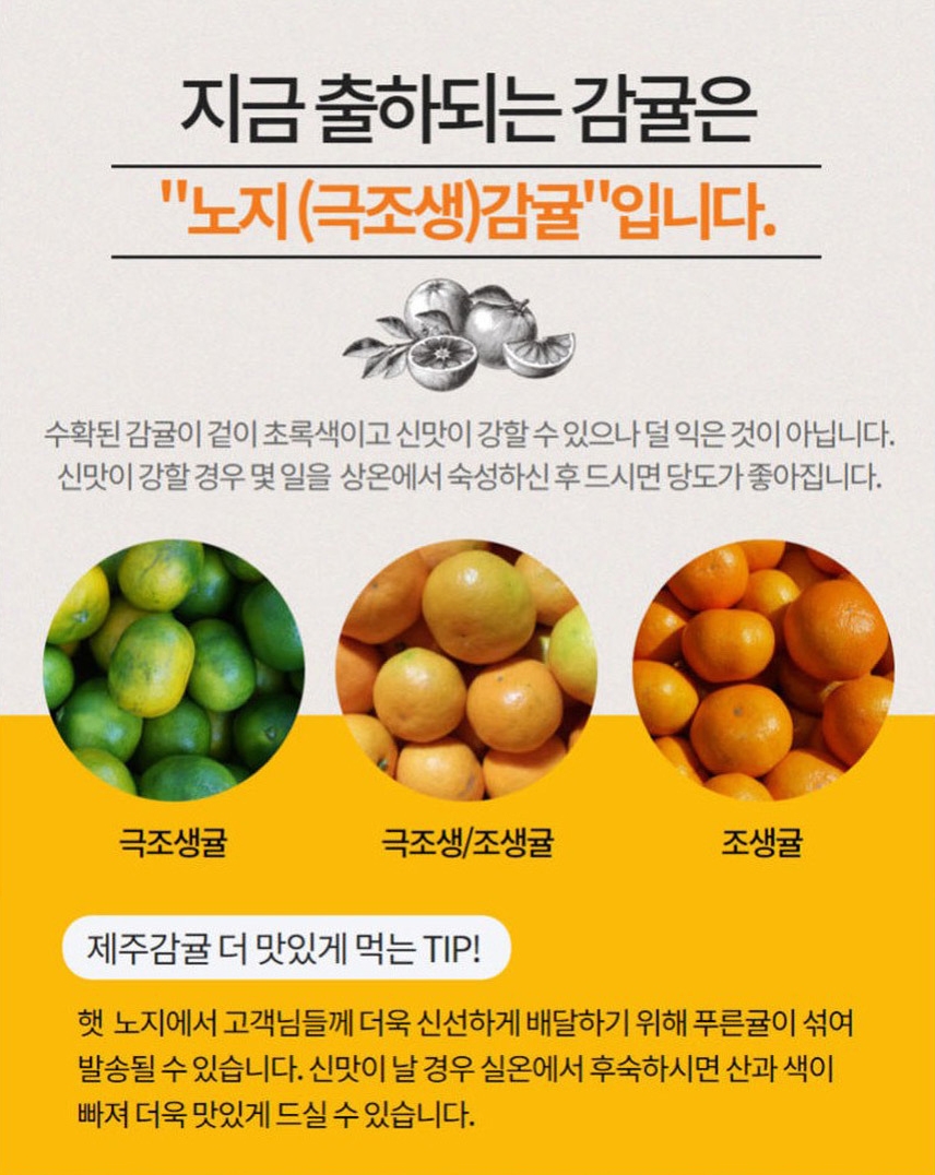 제주도 산지직송 노지감귤 3kg 5kg 10kg