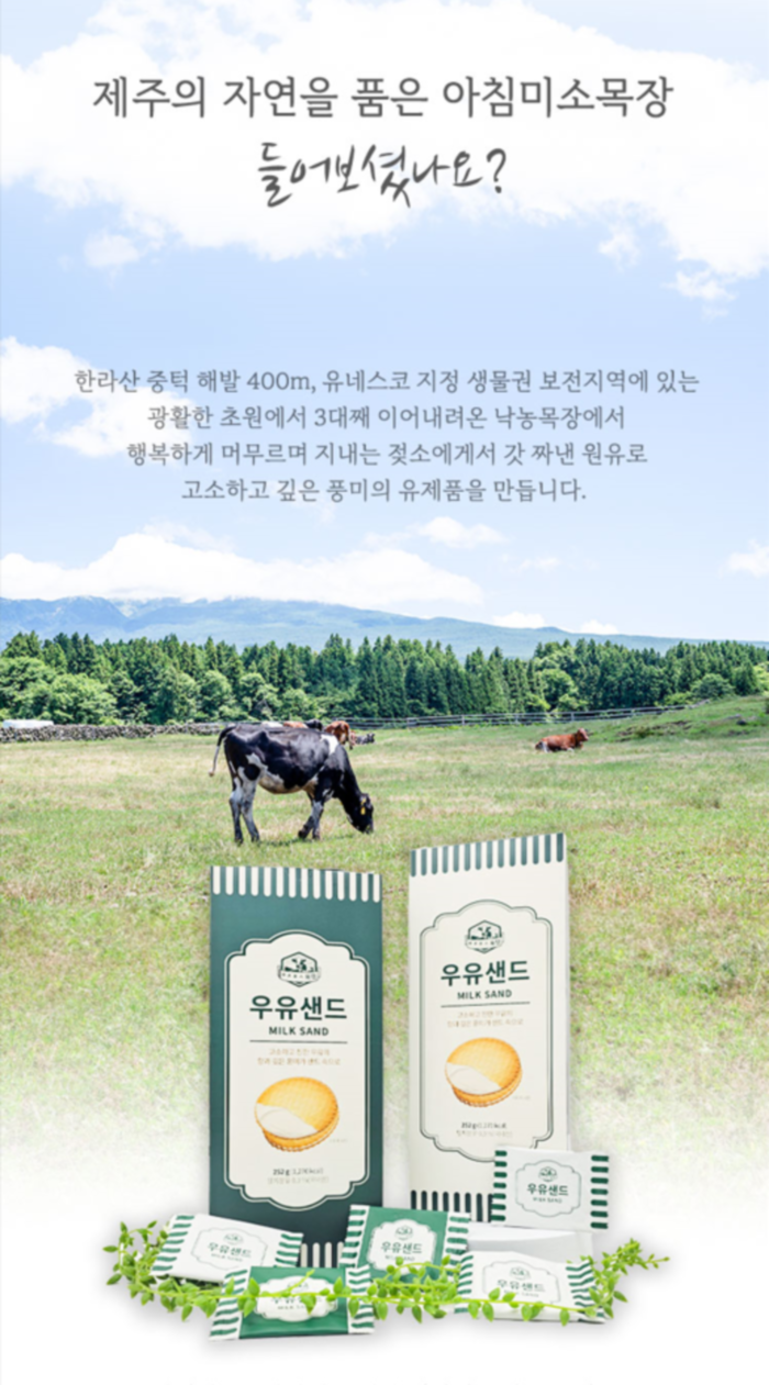 제주 ㅇㅊㅁㅅ 목장 우유샌드(대) 42개입 여행 선물 상세