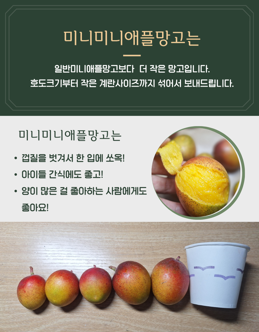 제주미니미니애플망고 2KG/3KG