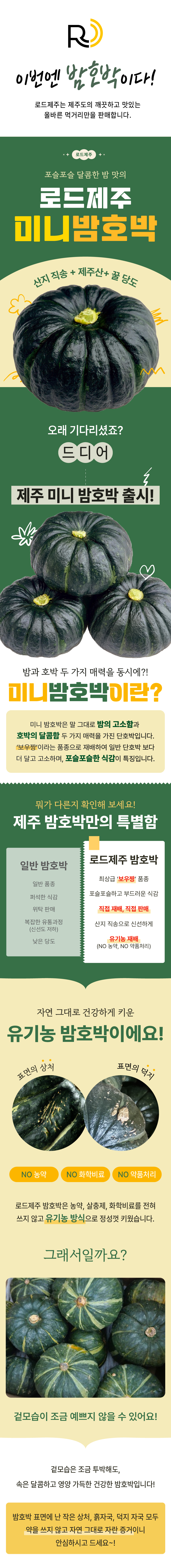 [로드제주] 제주 미니 밤단호박 3/5/10kg 상세
