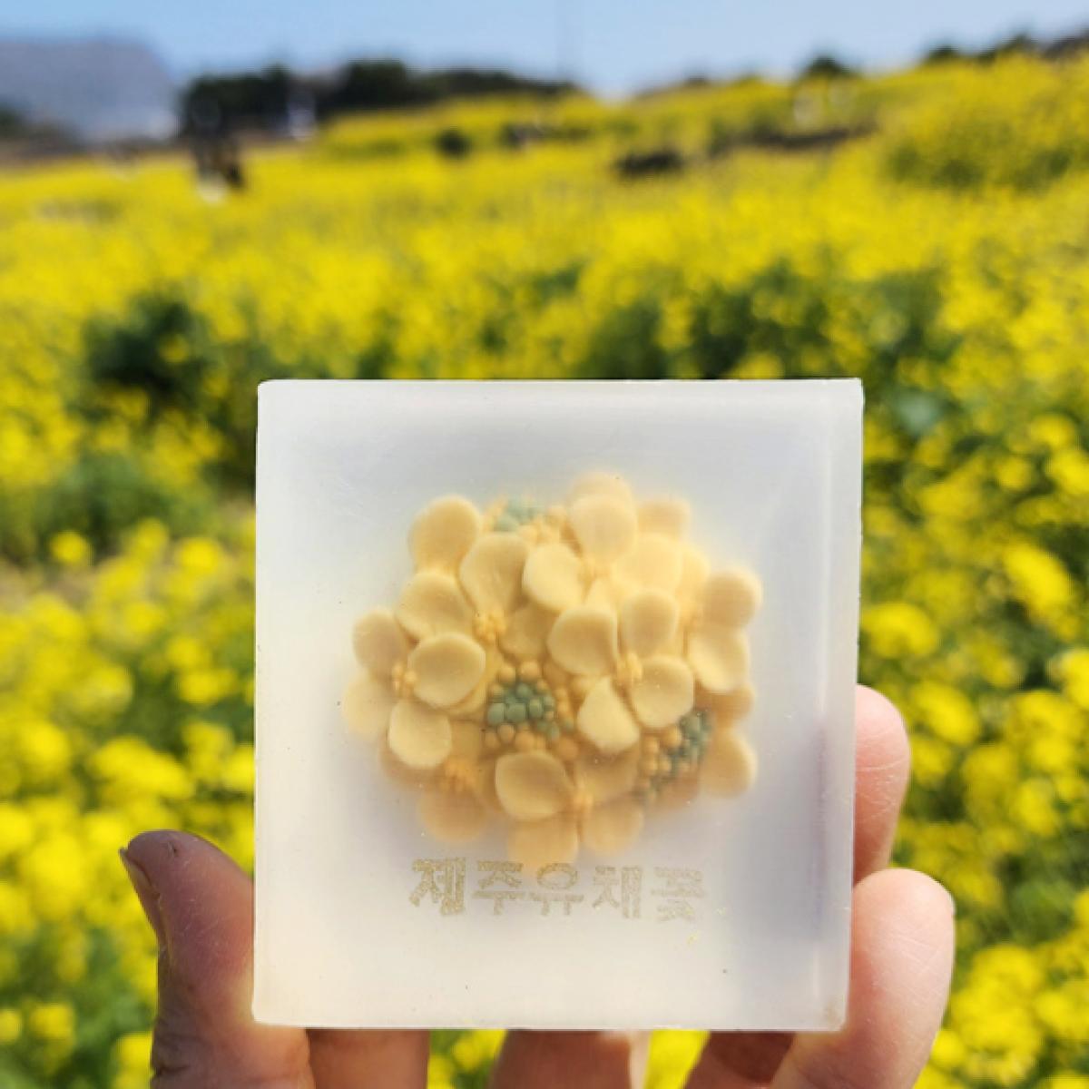 제주 유채꽃비누