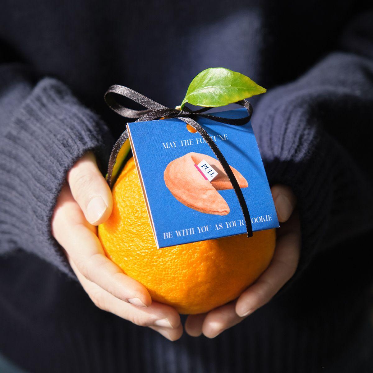 포춘한라봉'새해운세와 한라봉'