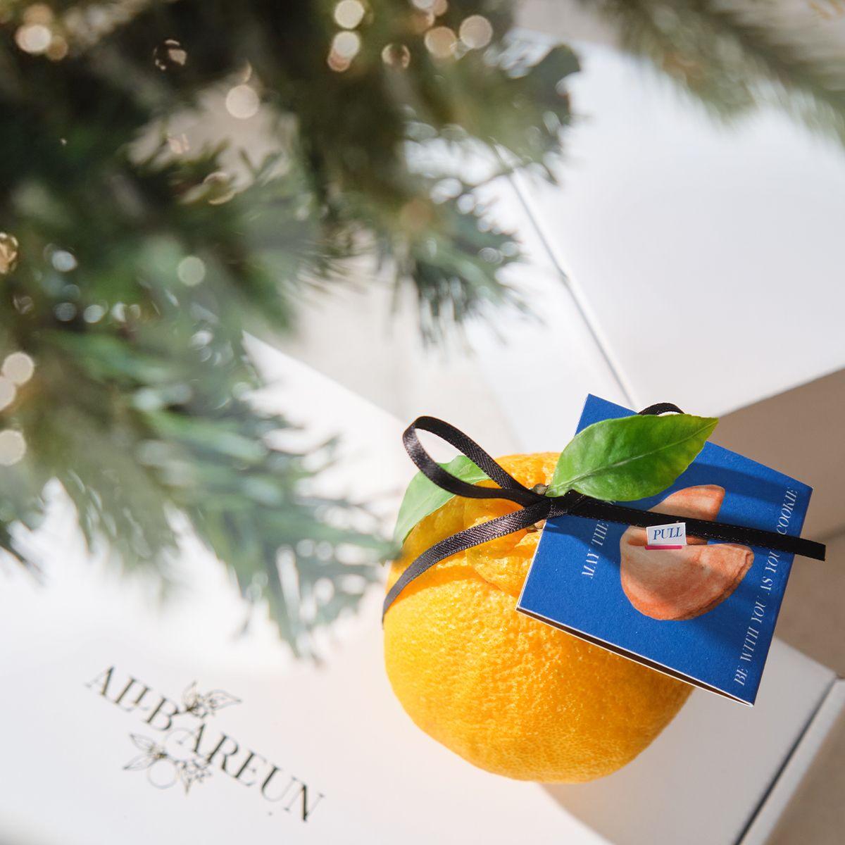 포춘한라봉'새해운세와 한라봉'