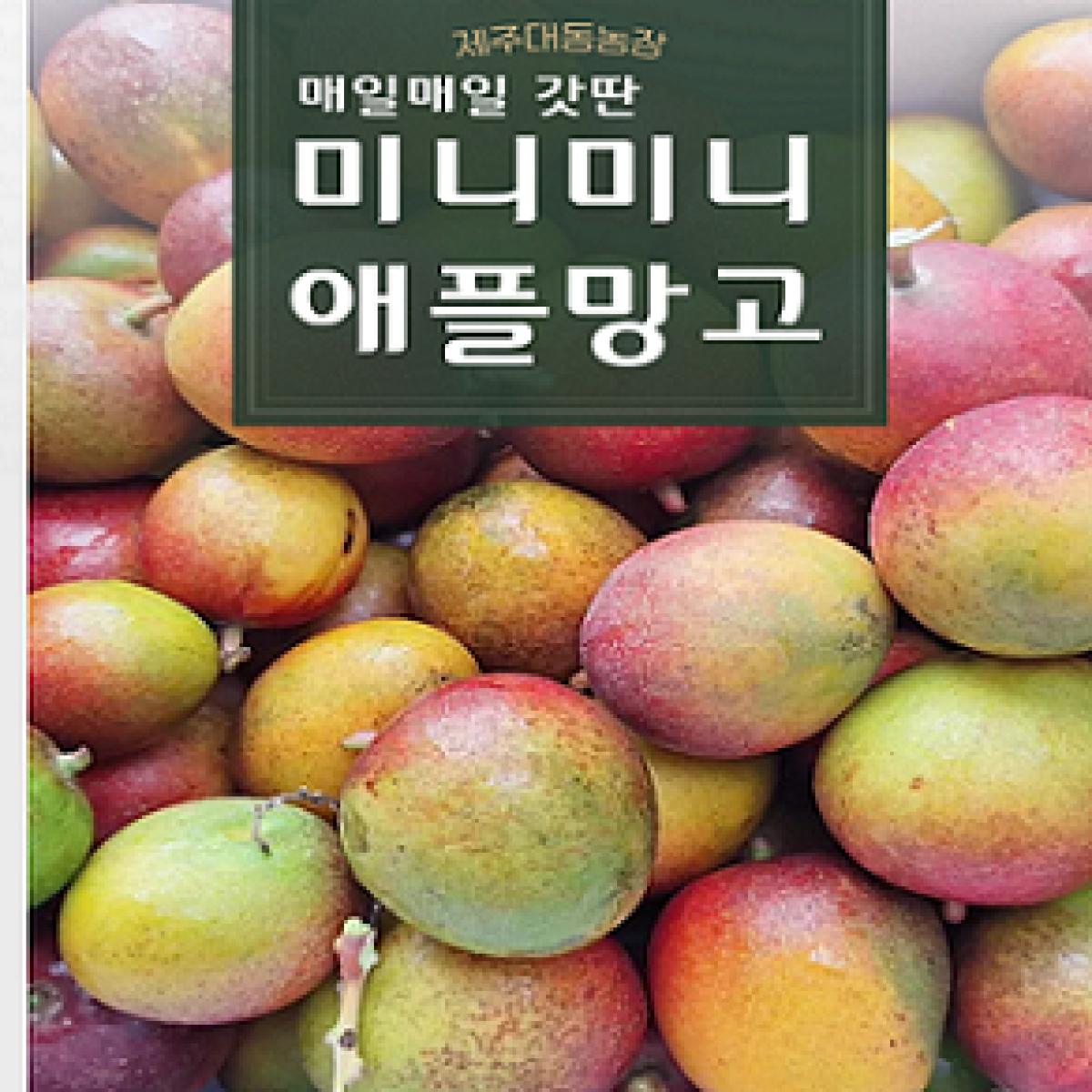 제주미니미니애플망고 2KG/3KG