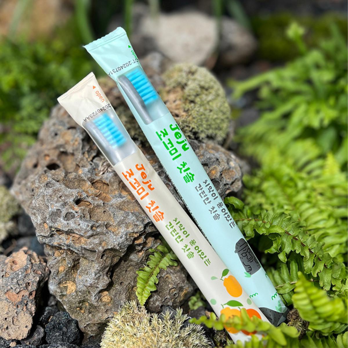 제주하우스 치약이 묻어 있는 여행용 칫솔