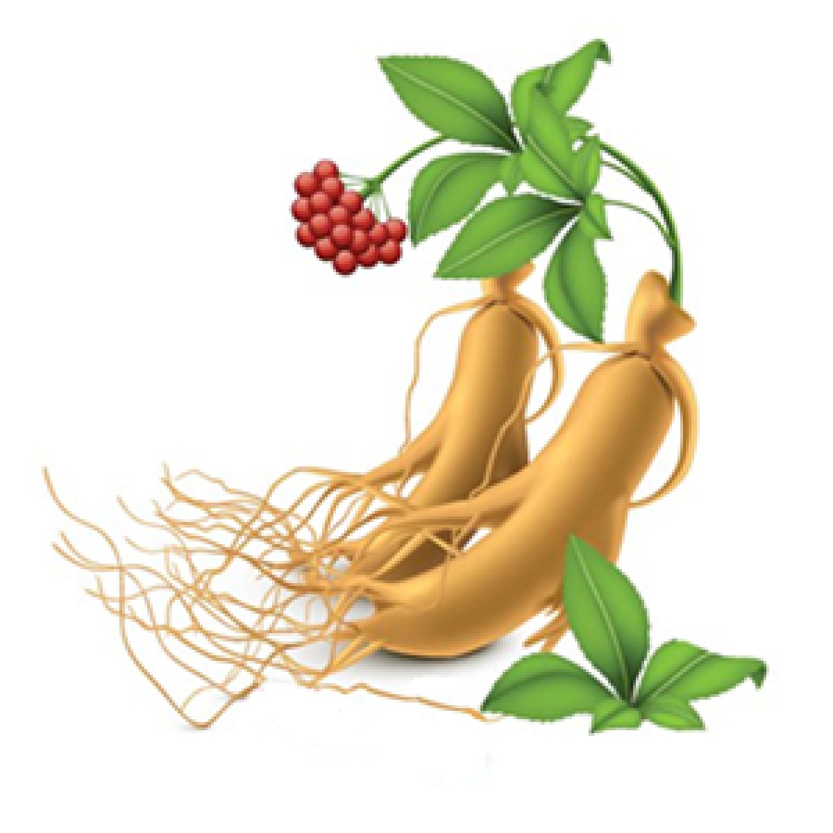 십전대보진액 100ml x 60포