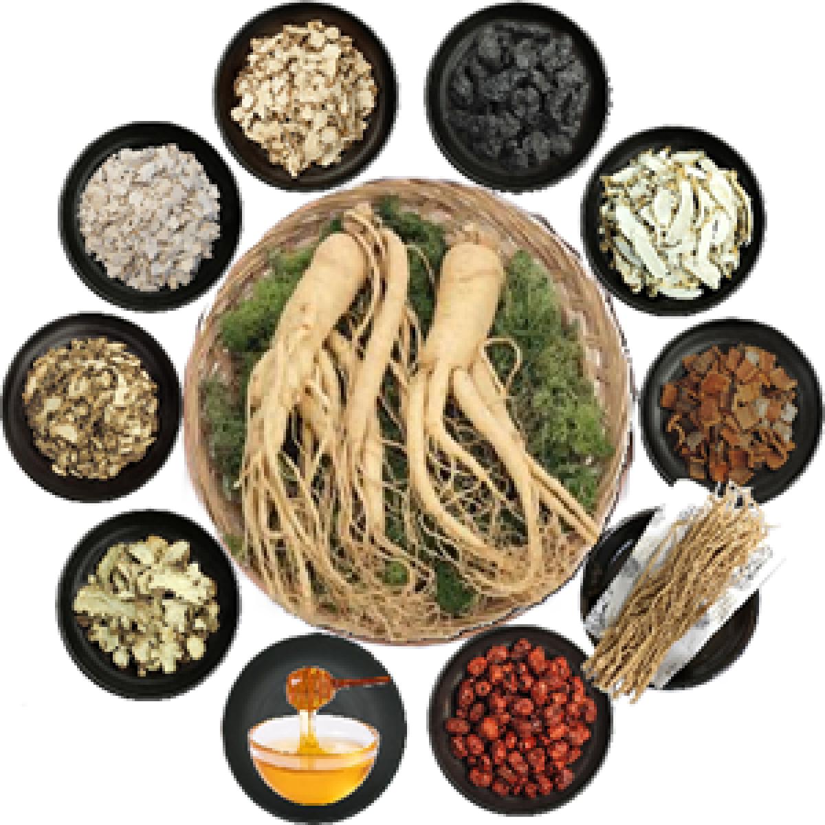 십전대보진액 100ml x 60포